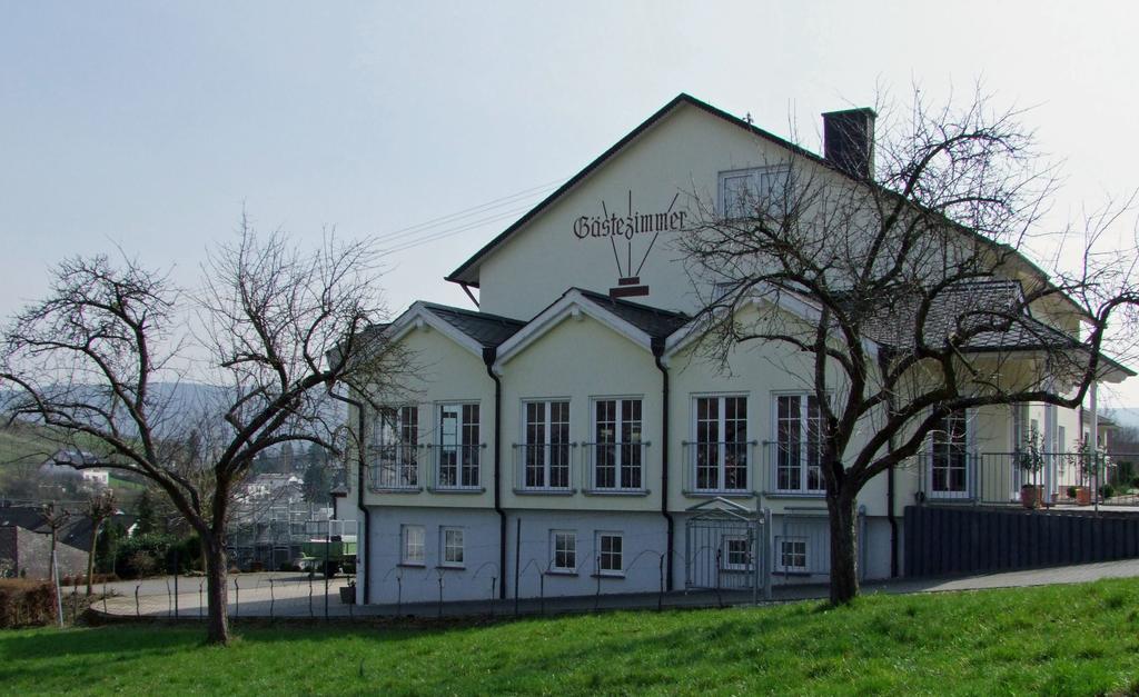 Wein & Gaestehaus Rosenlay Lieser Eksteriør bilde